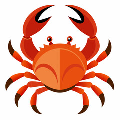 red crab on white