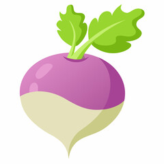 Radish isolated on white