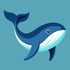 blue whale illustration