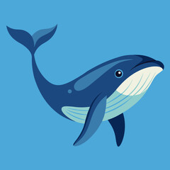 illustration of a cartoon shark