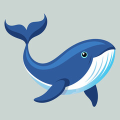 illustration of a cartoon shark