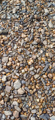 The river bank is scattered with attractive multi-colored and different sized stones and pebbles.