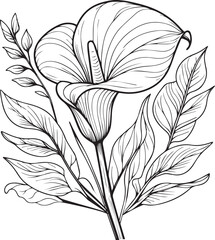 Calla flower line drawings, hand-painted calla flower wall art, calla flowers botanical wall art, simple calla lily drawing outline calla flower drawing, calla flowers line art