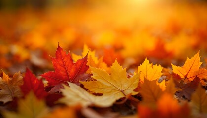a close up of a bunch of autumn leaves.