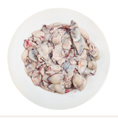 Raw squid sliced into pieces for a delicious lemon and garlic lunch. Isolated over white background