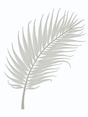 Fototapeta premium Palm leaf silhouettes with grunge texture and decorative plant elements for design use in vector format isolated on a white background