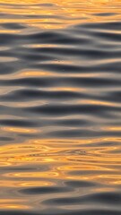 Sunset on the sea. The light of the setting sun reflects on the waves