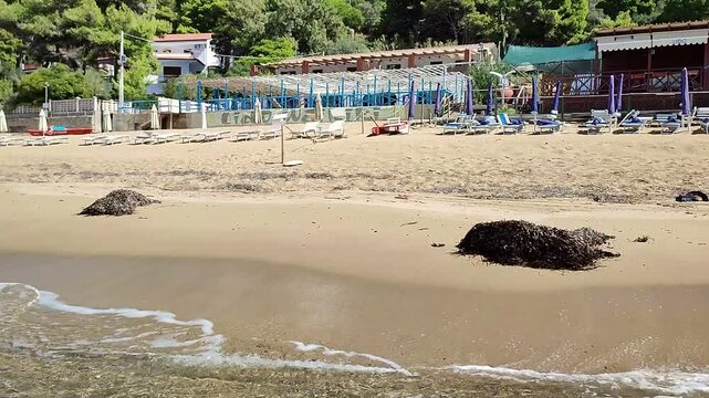 San Marco di Castellabate - Cumuli di Posidonia sulla Spiaggia del Pozzillo