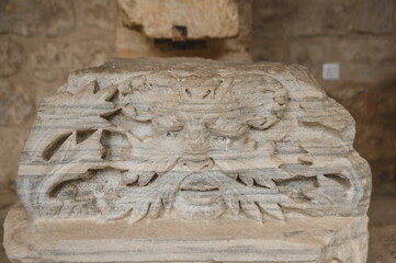 sculpture of a lion on the wall