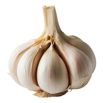 Split garlic bulb with visible garlic cloves