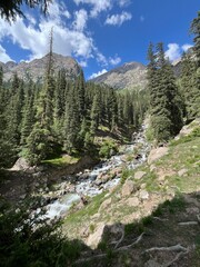 Obraz premium River in the mountains 