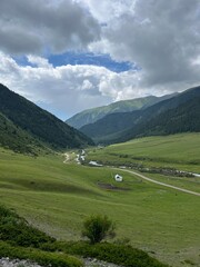 landscape in the summer