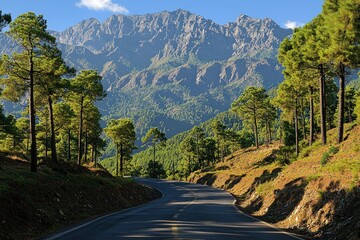 Naklejka premium Winding Mountain Road Through a Forest of Pine Trees