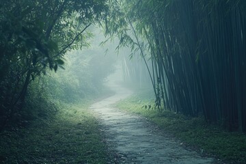 Obraz premium A dirt road winding through tall bamboo trees, great for outdoor or nature scenes