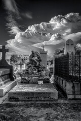 photographs of walks and tombstones from the Paris cemetery,