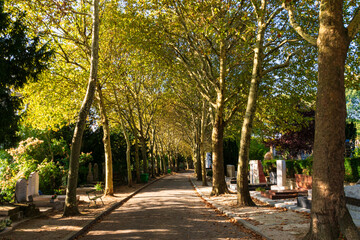 photographs of walks and tombstones from the Paris cemetery,