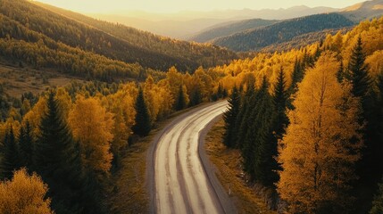 Fototapeta premium A winding road through vibrant autumn forests under a golden sunset.