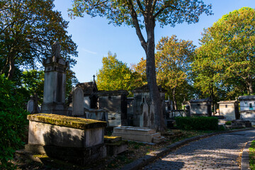 photographs of walks and tombstones from the Paris cemetery,