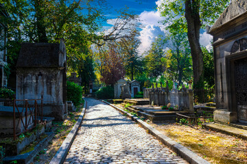 photographs of walks and tombstones from the Paris cemetery,