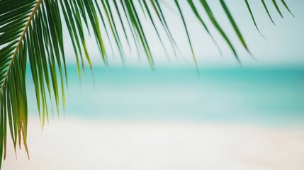 Fototapeta premium Palm Fronds Overlooking Tropical Beach