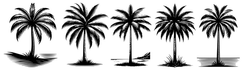 palm trees collection with minimalistic and tropical designs