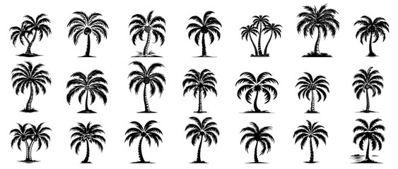 tropical palm trees, black vector silhouette