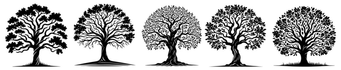 five tree silhouettes with dense branches and foliage, black vector design