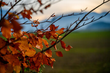 Herbst im Rupertiwinkel