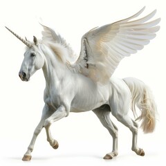 Majestic white unicorn with its wings spread wide open is running majestically