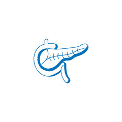 Pancreas with Duodenum Vector Illustration for magazines, books or scientific presentation