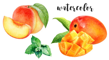Hand-Painted Watercolor Mango, Peach, and Mint Botanical Illustration