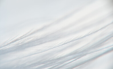 A close-up of white clouds on a sunny day