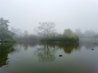 Niebla en el lago