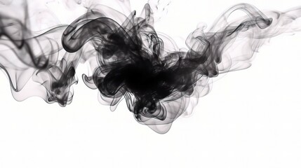 Fototapeta premium Ethereal Black Smoke Swirls on White Background