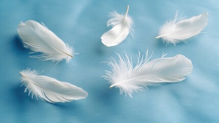 Naklejka premium Group of white feathers arranged on a blue surface