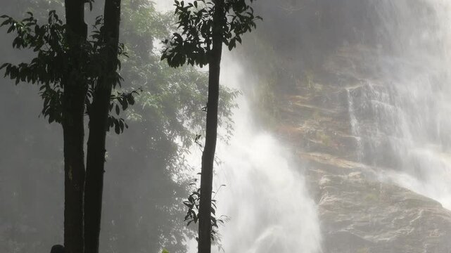 Natural video background of water from a high waterfall on a big mountain, amidst big trees in a tropical forest, with ferns, moss, flowers, cool and windy atmosphere during a nature trip.