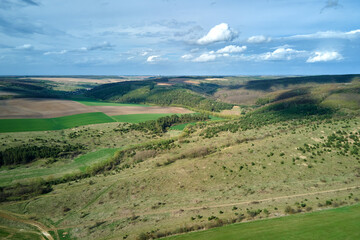 Fototapeta premium Aerial landscape of green farmland in summer season with growing crops. Agricultural cultivated field. Farming and agriculture industry