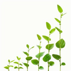 Fototapeta premium Green plants are growing forming an upward trend line, symbolizing economic growth and business success