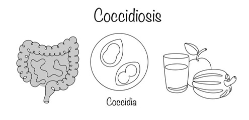 Coccidiosis