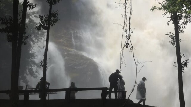 Natural video background of water from a high waterfall on a big mountain, amidst big trees in a tropical forest, with ferns, moss, flowers, cool and windy atmosphere during a nature trip.