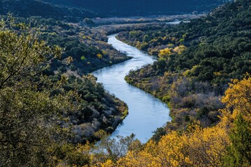 Obraz premium Winding River Through Autumnal Forest