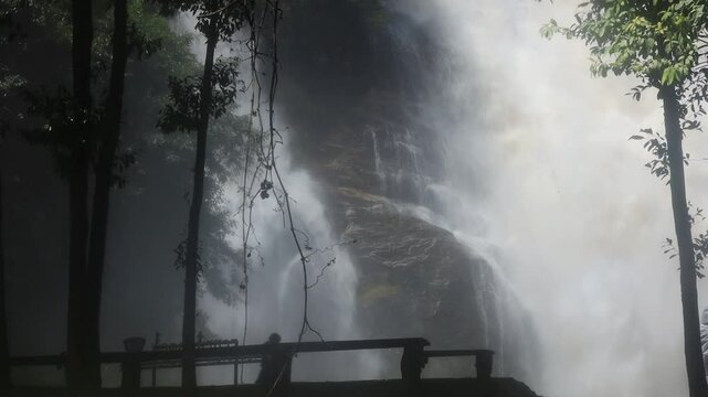 Natural video background of water from a high waterfall on a big mountain, amidst big trees in a tropical forest, with ferns, moss, flowers, cool and windy atmosphere during a nature trip.