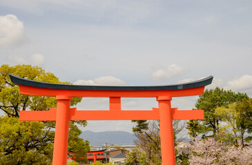 A torii is an iconic gate in Japan, marking the entrance to a sacred space, symbolizing the...