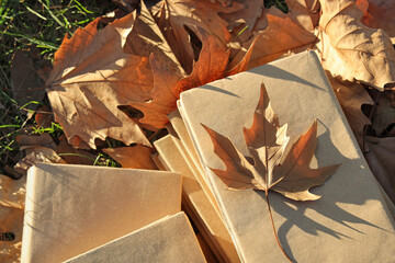 Books with autumn leaves in park, closeup