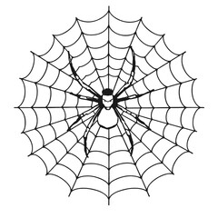 Obraz premium a black and white line drawing of a spider web.