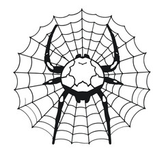 Obraz premium a black and white line drawing of a spider web.