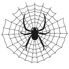 Obraz premium a black and white line drawing of a spider web.