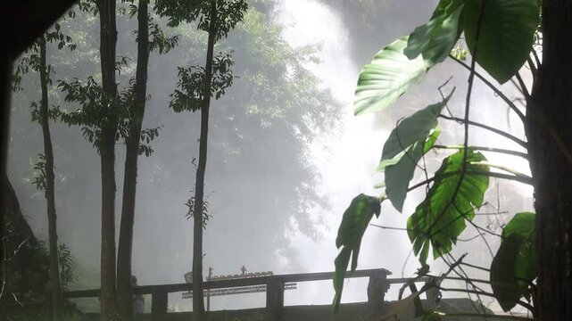 Natural video background of water from a high waterfall on a big mountain, amidst big trees in a tropical forest, with ferns, moss, flowers, cool and windy atmosphere during a nature trip.