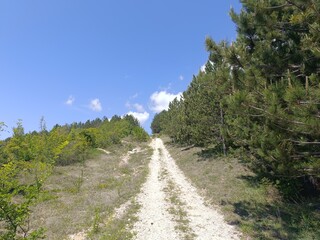 Obraz premium road in the mountains