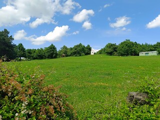 field and blue sky